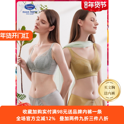 大胸显小奥丝蓝黛软钢圈