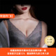 奥丝蓝黛养胸内衣女全罩杯收副乳大胸显小 上托防下垂薄文胸T14