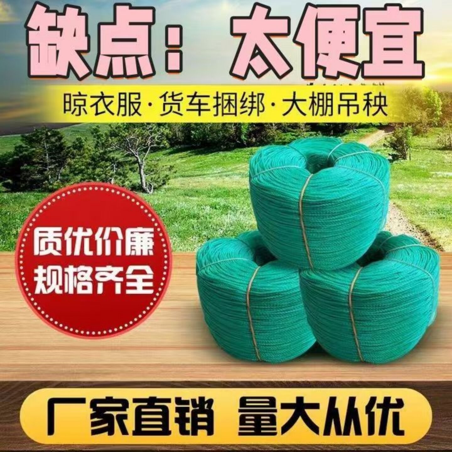 货车专用捆绑绳刹车大棚绳尼龙绳