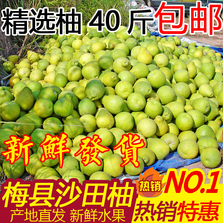 40斤包邮正宗新鲜水果比沙田柚