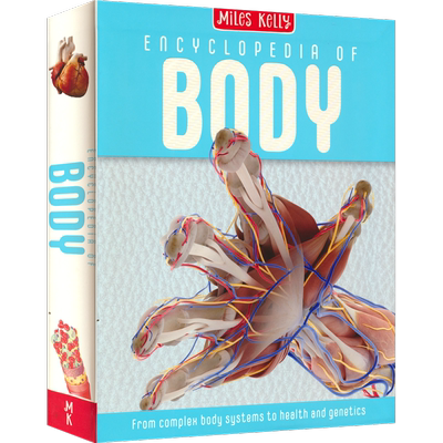 Encyclopedia of Body 人体百科科普 英国出版社 Miles Kelly 384页超厚读物 英文原版进口