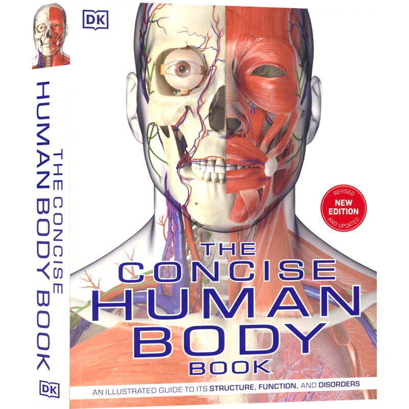 DK The Concise Human Body Book 精装人体图解百科 解剖视觉指南 骨骼肌肉系统运作 全方面认知解析 科普百科全书 英文原版图书