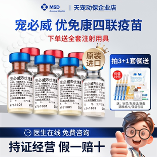 4联进口幼犬宠物狗狗用默沙东 荷兰英特威四联活疫苗宠必威优免康