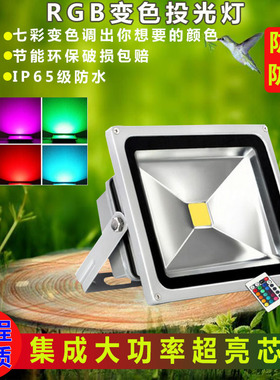 LED彩色投光灯七彩RGB变色户外防水50W100瓦景观园林照树绿化灯具