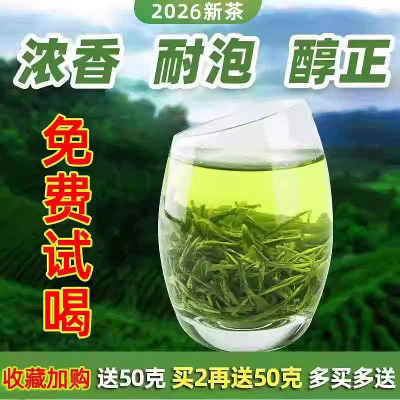 绿茶2026新茶试喝茶叶散装浓香清茶禄荼叶重庆酉阳宜居毛尖茶500g