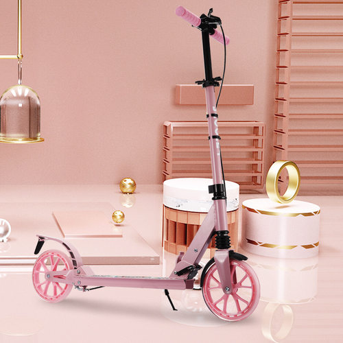 成人青少年校园工具代步车
