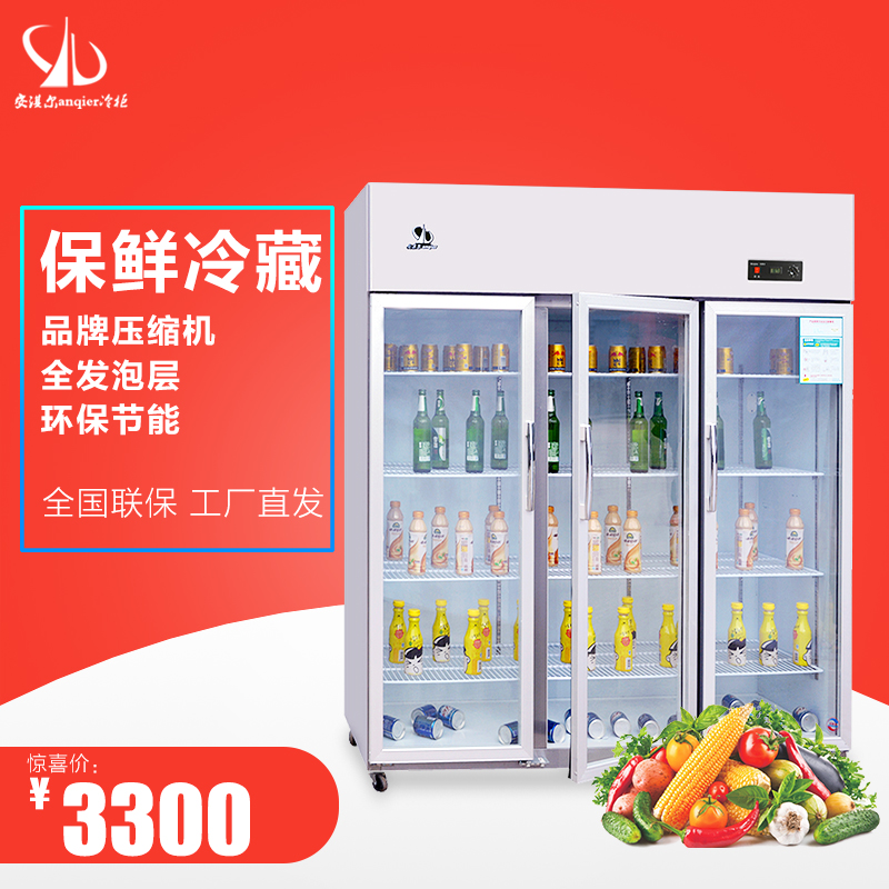 双开门厨房水果蔬菜冷藏保鲜冰柜