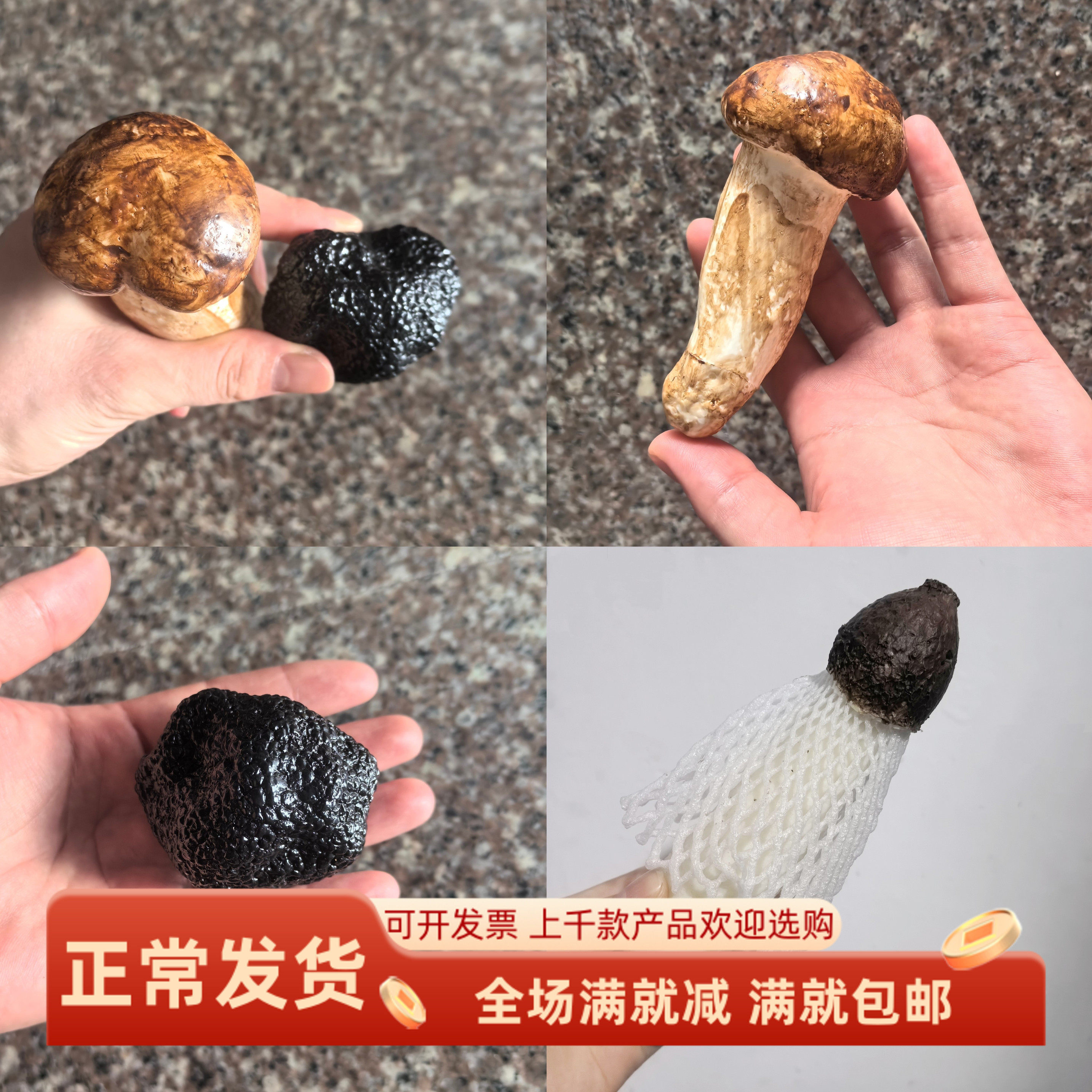 仿真竹荪模型假蘑菇蔬菜摆件道具