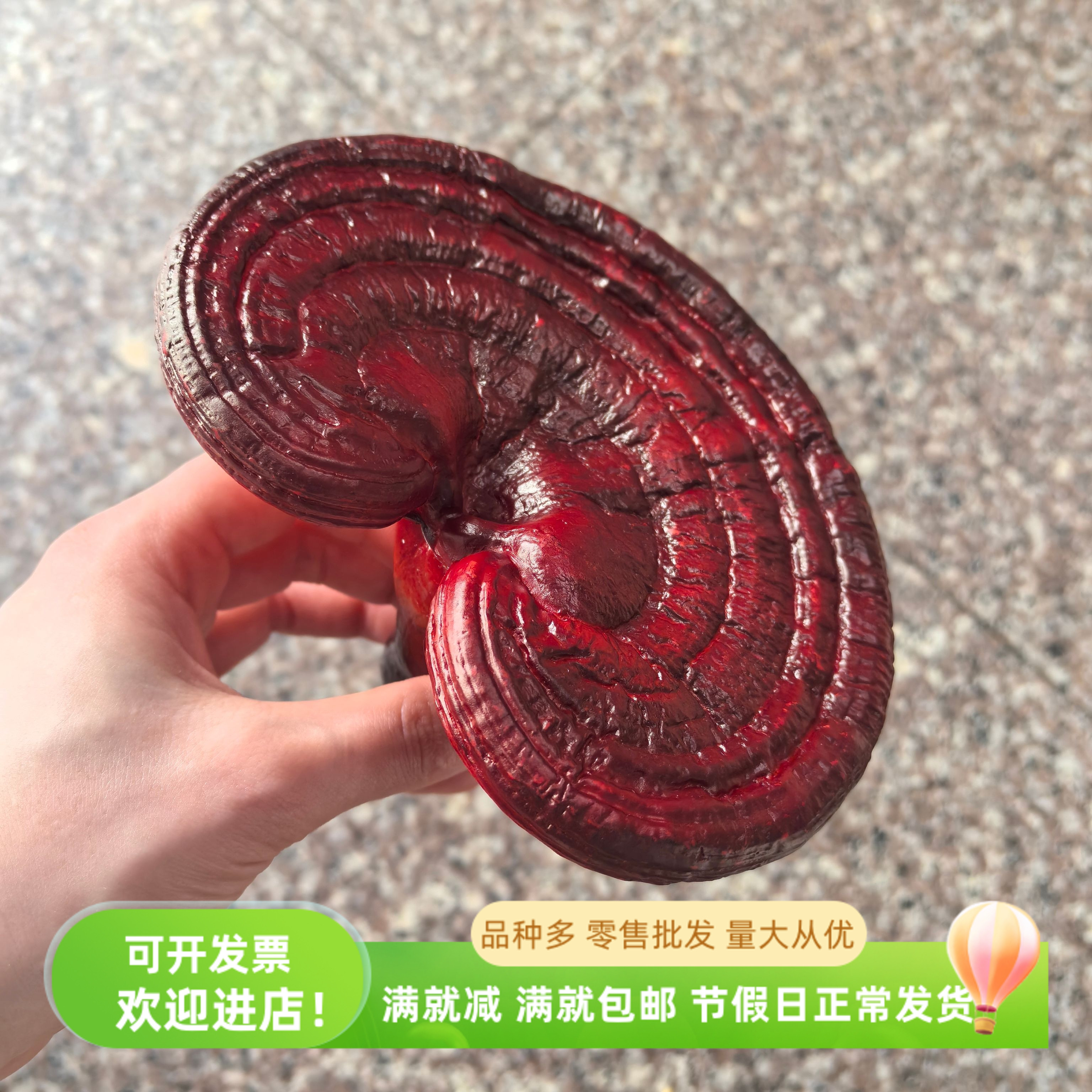 仿真灵芝模型野生菌森林道具装饰