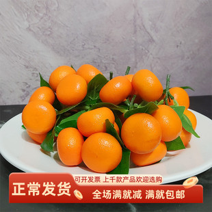 仿真水果泡沫橘子带叶小金桔串砂糖桔模型教学家居摆放农家乐挂件