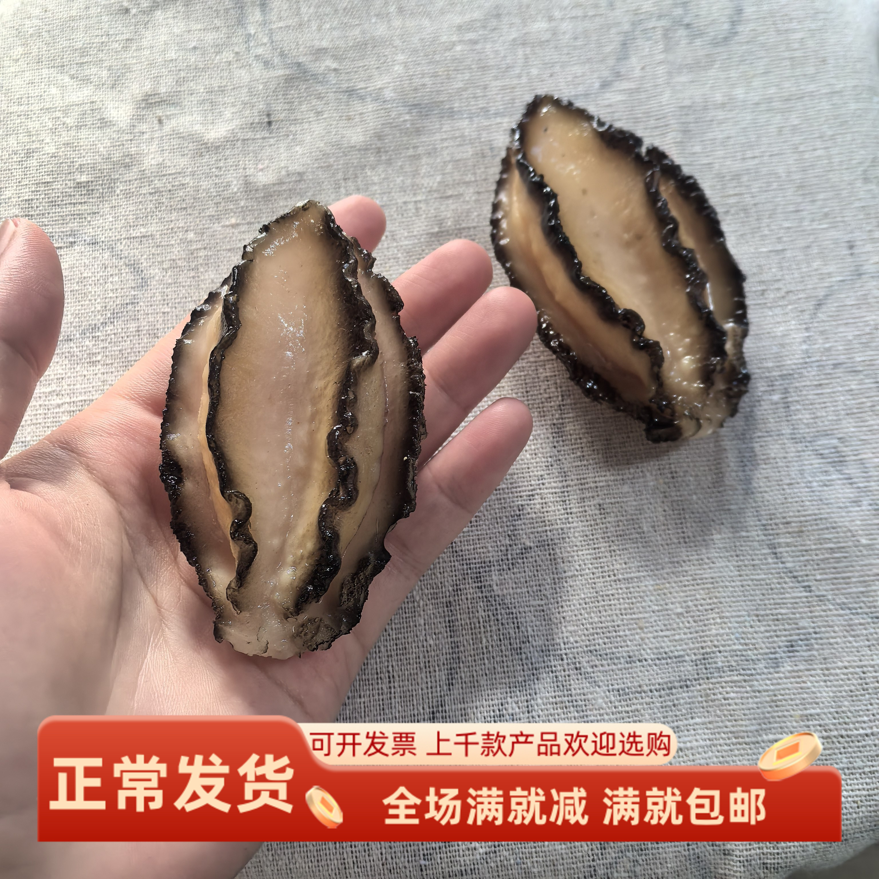 仿真鲍鱼肉模型整蛊超市装饰道具