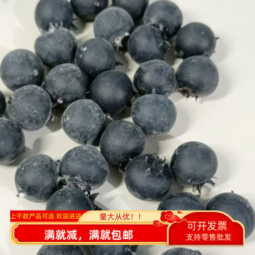 装饰品道具仿真摆件玩具儿童