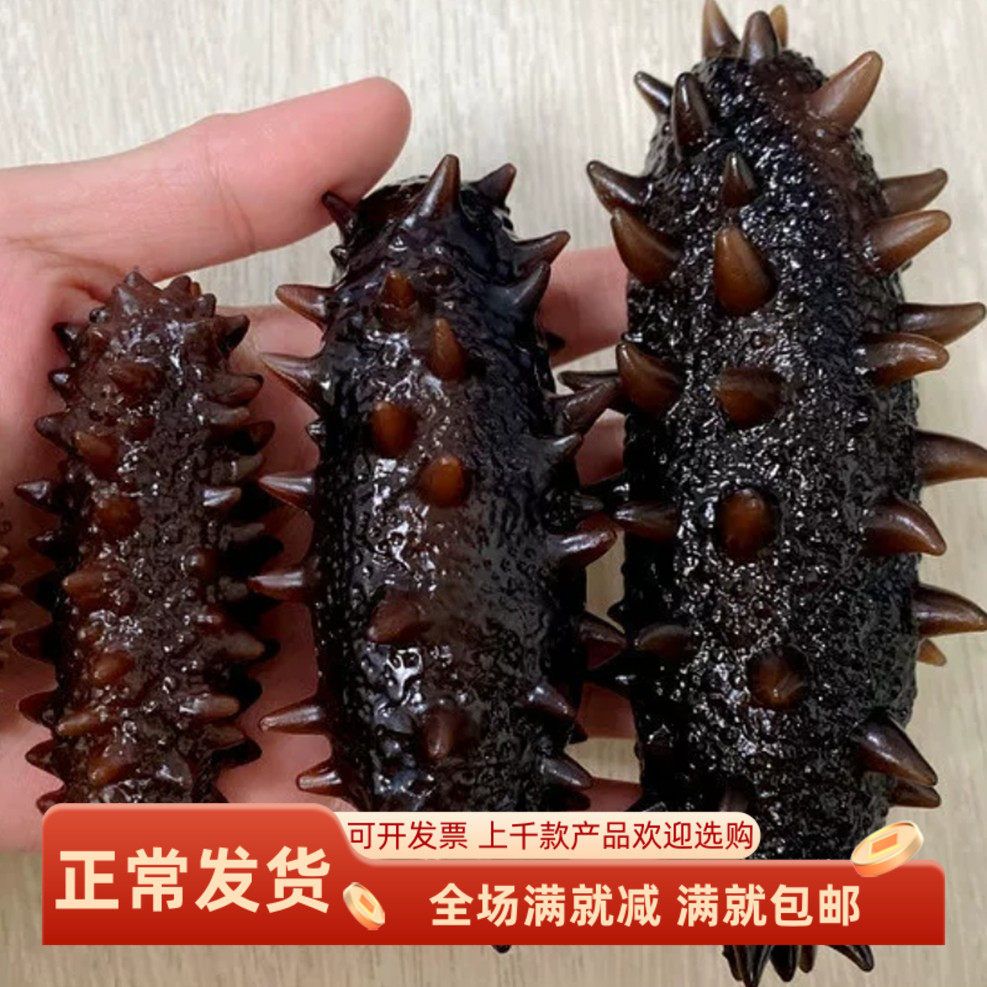 仿真大小海参假生鲜食物模型干货水产品店鱼缸拍摄摆设装饰玩道具