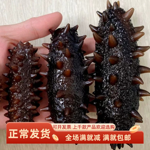 仿真装饰品食物模型道具摆件