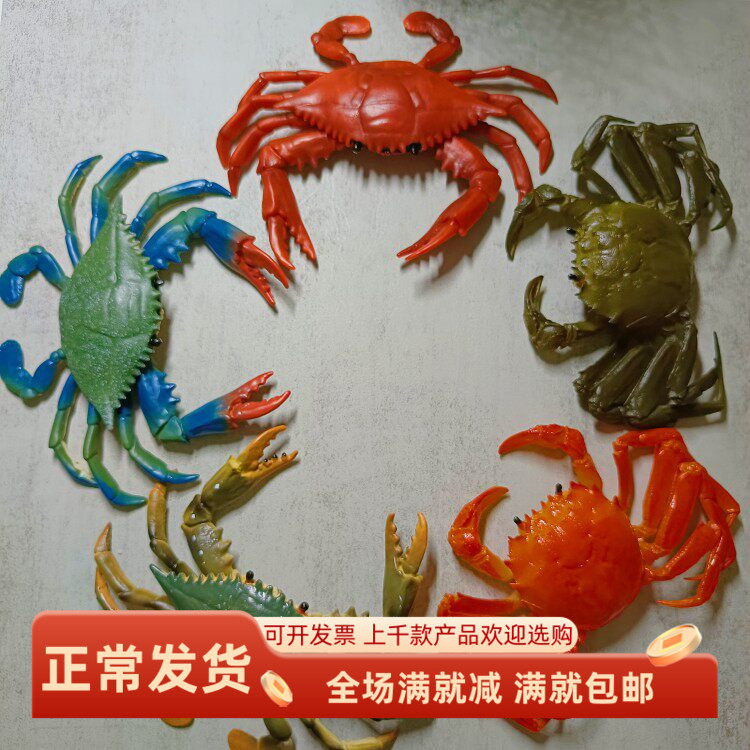 装饰品模道具仿真摆件玩具儿童