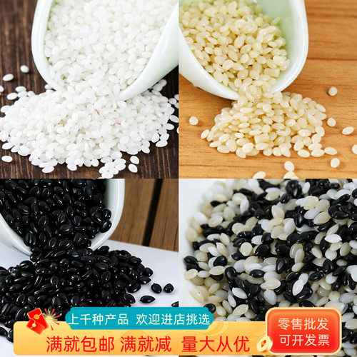 仿真五谷杂粮模型黑芝麻DIY装饰