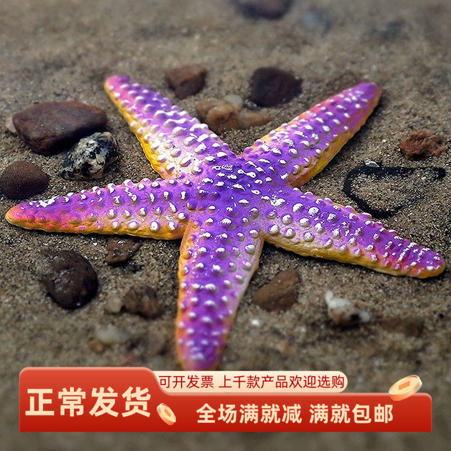 仿真海星儿童科教海洋生动物道具