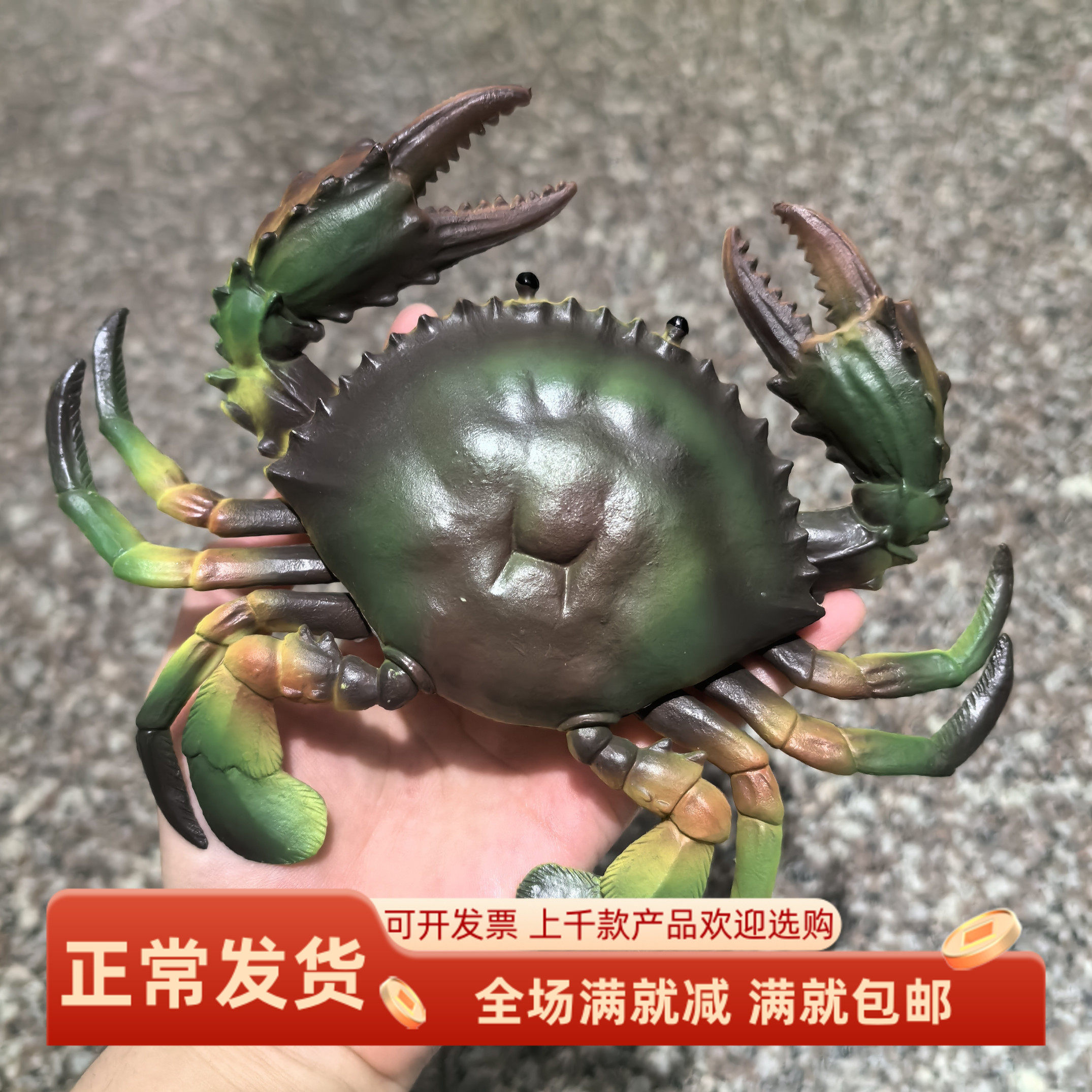 仿真螃蟹模型假大闸蟹青蟹海洋动物立体摆件儿童认知玩具鱼池装饰