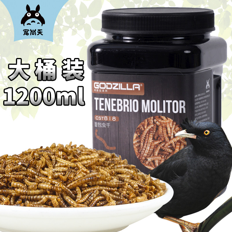 八哥幼鸟面包画眉零食鲜活黄粉