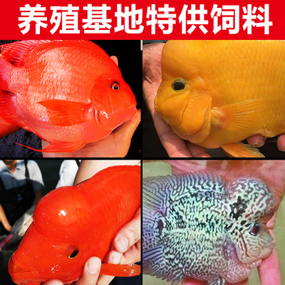 宠尚天血鹦鹉鱼饲料观赏鱼食料增红增艳金鱼鱼料罗汉鱼起头饲料