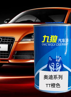 九狼汽车喷烤色漆奥油漆迪成品改色TT4店S漆橙色白色水晶银探戈红