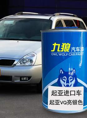 九狼汽车漆起成品亚漆原车漆VQ亮银色极光黑Ray EV白色嘉华亮银色