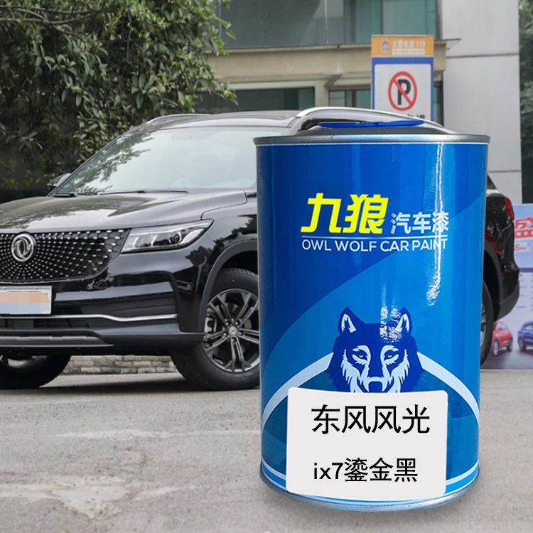 九狼汽车漆东成品风改风色光DX金属漆