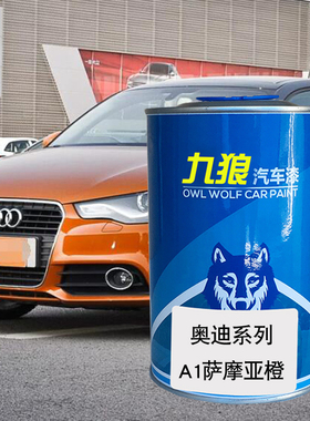 九狼汽车喷烤色漆奥油漆迪A1色漆斯科巴蓝冰川白旋风黑萨摩亚橙色