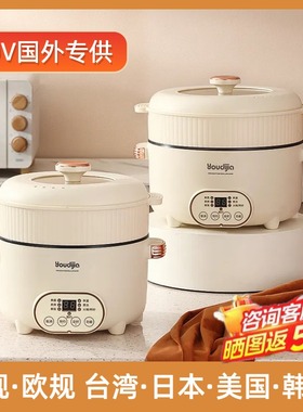 110V多功能电煮锅美规台湾日本美国新加坡加拿大香港家用电火锅