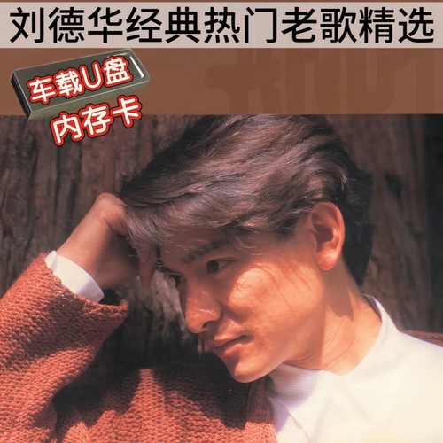 刘德华专辑歌曲车载通用U盘奥迪奔驰TFSD内存卡经典流行怀旧老歌