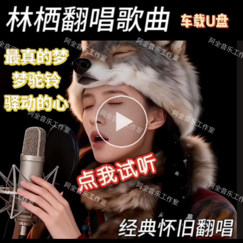 快手林栖作品同款专辑歌曲汽车载U优盘USB经典怀旧老歌翻唱CD碟片