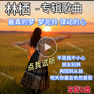 林栖专辑歌曲汽车载U优盘USB抖音同款经典怀旧流行中文国语Ai翻唱