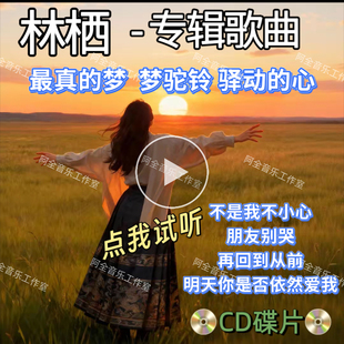 林栖专辑歌曲最真的梦驿动的心汽U优盘USB抖音同款经典怀旧翻唱CD