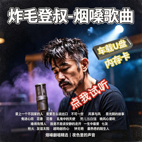 抖音炸毛登叔车载通用U盘内存卡歌曲汽水音乐烟嗓版经典流行翻唱