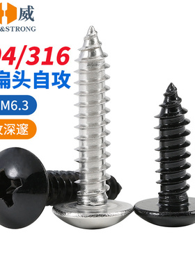 304不锈钢十字大扁头自攻螺丝316伞头蘑菇头自攻钉黑色螺丝M3-M6