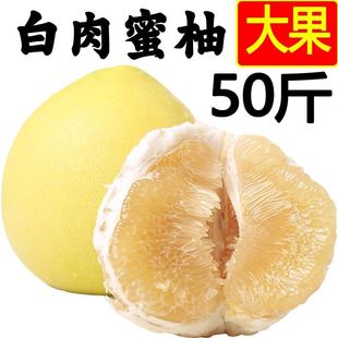 白肉蜜柚50斤现货梅州白心柚子孕妇新鲜水果非沙田柚西柚