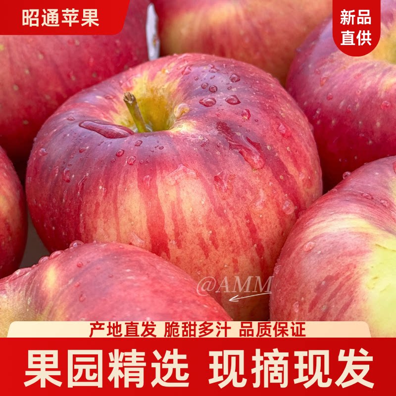 云南高品质昭通丑苹果新鲜水果脆甜高原丑平果红露苹果生态中秋礼