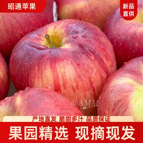 云南高品质昭通丑苹果新鲜水果脆甜高原丑平果红露苹果生态中秋礼