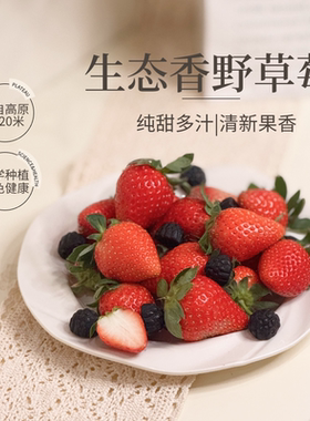 【2026-11上市】阿莓莓产地直发云南香野隋珠草莓