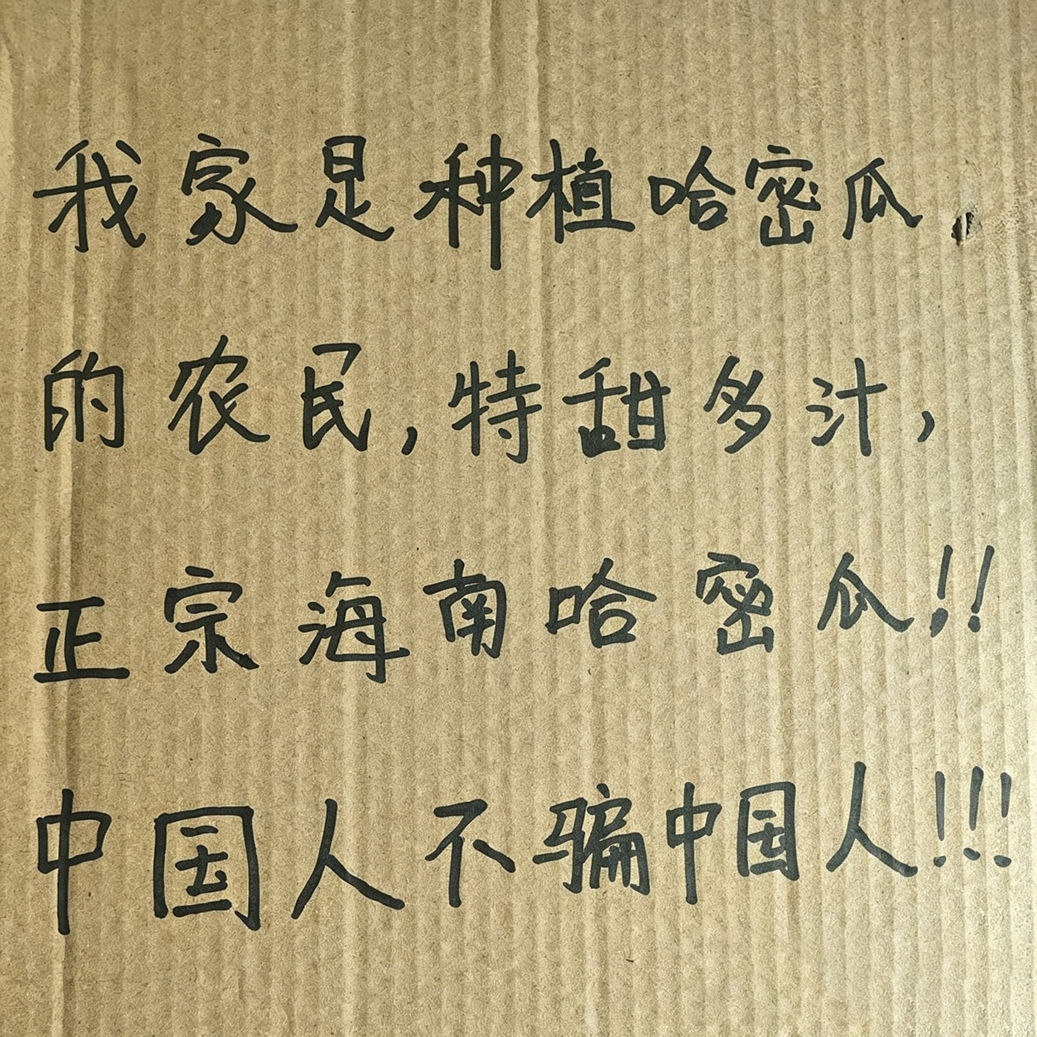 正宗海南哈密瓜新鲜一整箱9斤当季水果沙地西洲蜜瓜现摘现发包邮