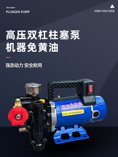 隆迈手提式 打药机农用电动果树喷雾器12v60v24v220伏双缸柱塞泵