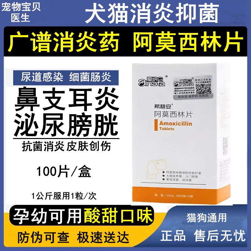猫狗消炎药阿莫西林片小猫抗炎犬