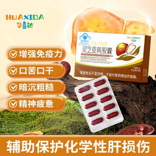 華喜達中和鴻業牌靈芝姜黃護肝膠囊官方艦旗店增強免疫力保健食品