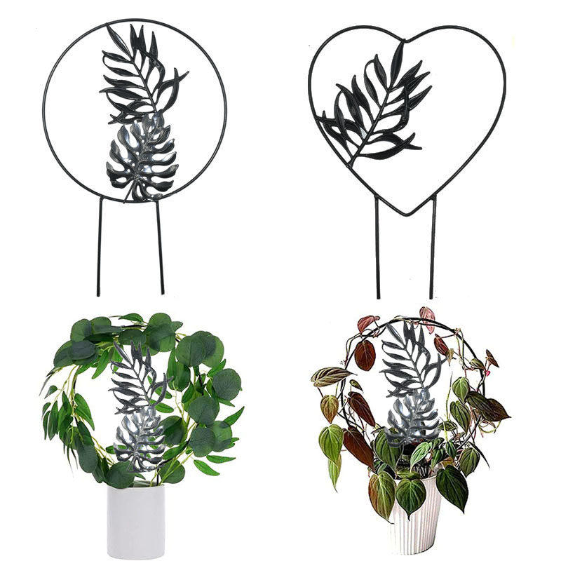 植物攀爬架 铁艺花盆支架 山乌龟铁线莲花架爬藤架蝴蝶兰固定杆,鲜花速递/花卉仿真/绿植园艺,花架,淘宝优惠券,粉丝福利购,淘宝优惠卷