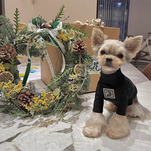 BAI®韩国猫咪狗狗衣服黑白打底衫空调服防晒柔软舒适百搭四季