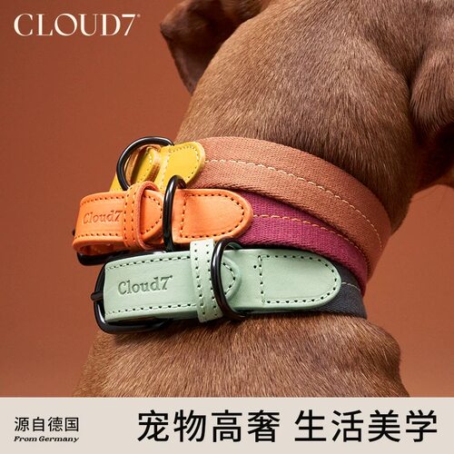 德国进口cloud7真皮狗狗项圈小中大型犬狗脖套宠物牵引绳小狗项圈