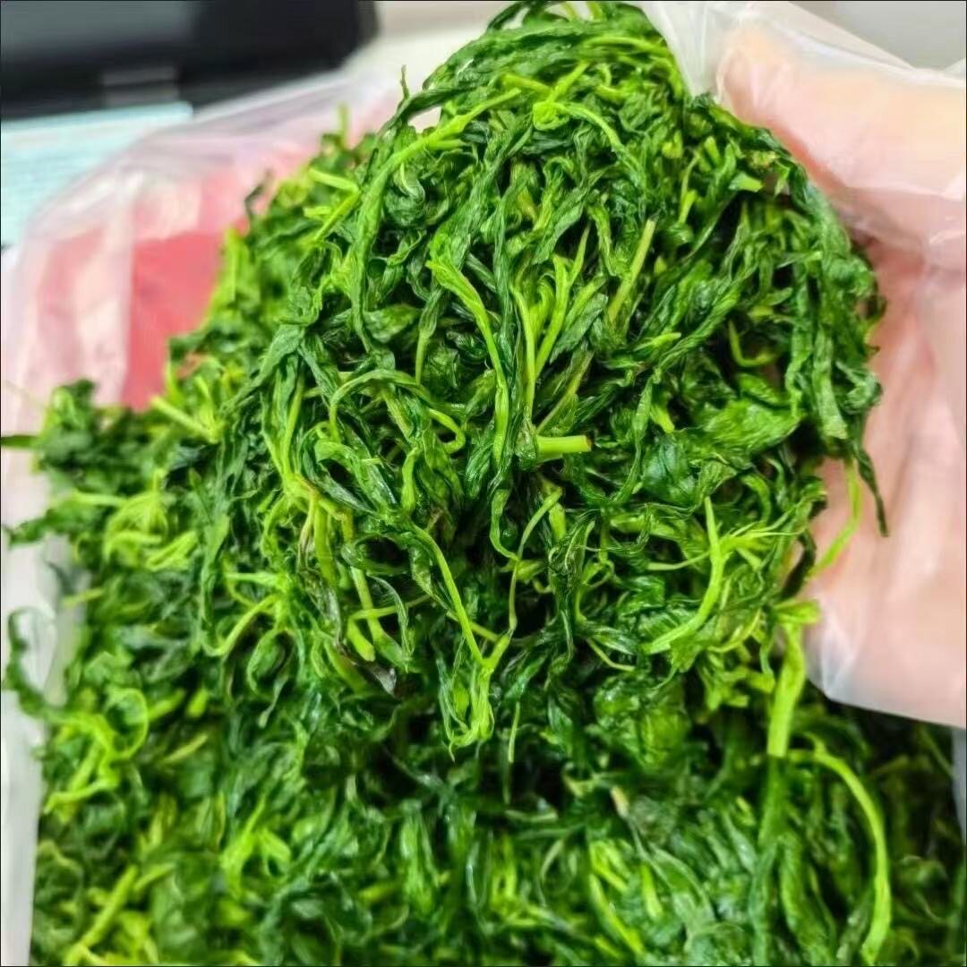潮汕特产脱水麻叶菜配粥特色小菜