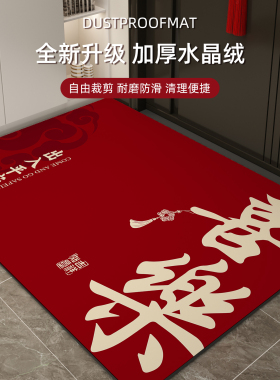 红色入户门地垫2026新款进门门口防滑耐脏脚垫家用玄关门垫地毯