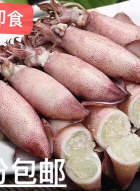满籽膏鱿鱼海兔新鲜冷冻潮汕
