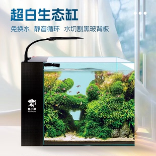 鱼小懒40x30x30cm侧过滤小鱼缸玻璃背板海缸生态缸